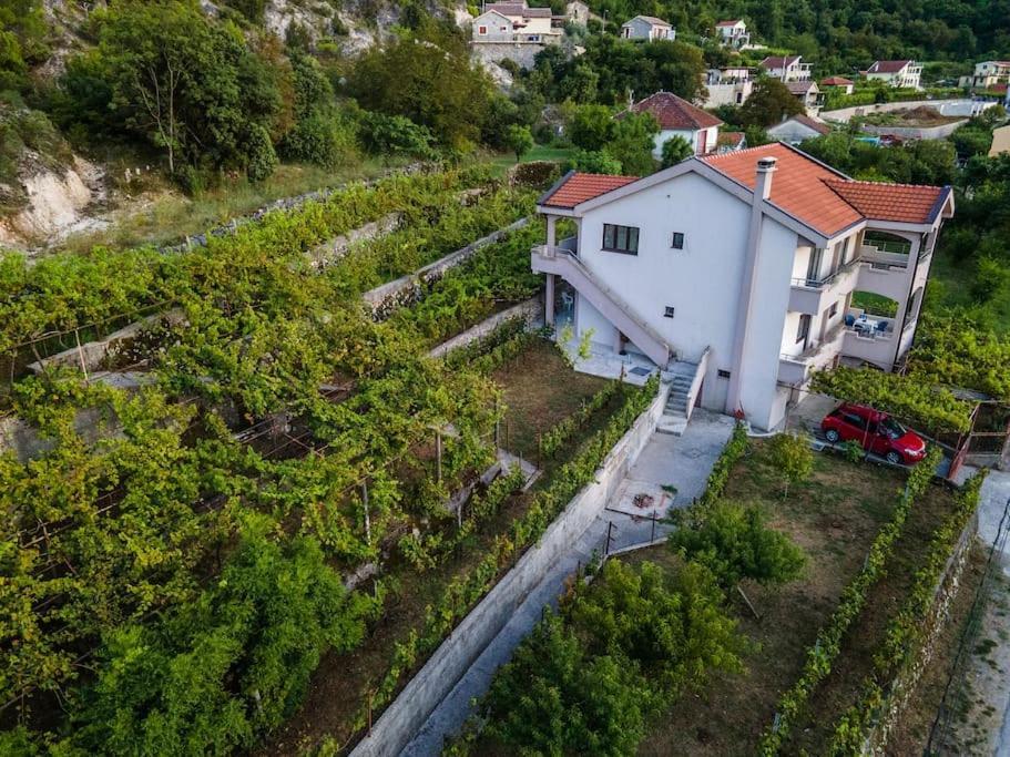 Pavle'S Oasis Villa Вирпазар Екстериор снимка
